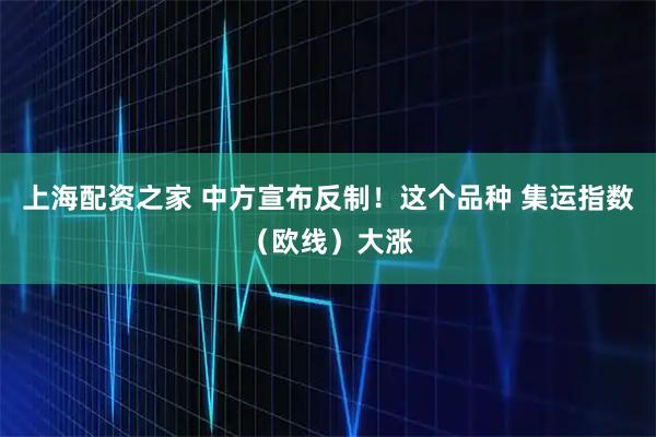上海配资之家 中方宣布反制！这个品种 集运指数（欧线）大涨